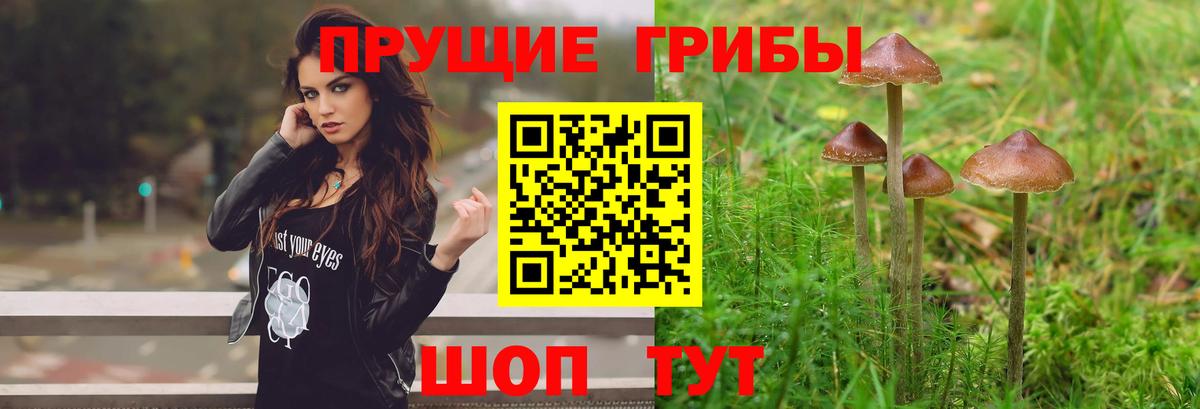 Галлюциногенные грибы GOLDEN TEACHER  Вход с VPN  Краснодар 